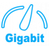 Gigabit Port 